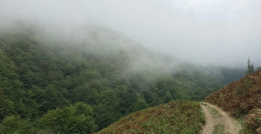Photo by [Amin](https://unsplash.com/@aminpics?utm_content=creditCopyText\&utm_medium=referral\&utm_source=unsplash) on [Unsplash](https://unsplash.com/photos/a-dirt-road-going-up-a-hill-covered-in-fog-i5QoPix2c90?utm_content=creditCopyText\&utm_medium=referral\&utm_source=unsplash)